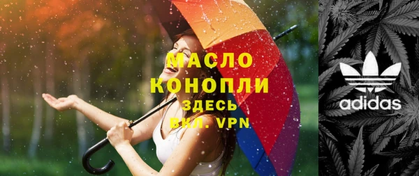 МДПВ Вяземский