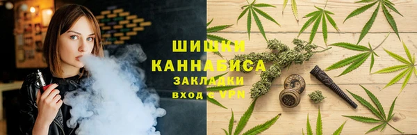 МДПВ Вяземский