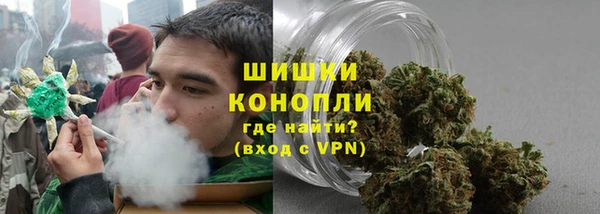 МДПВ Вяземский