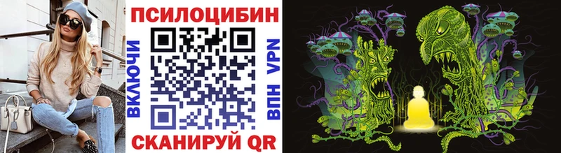 Галлюциногенные грибы Psilocybe Купить где Полесск